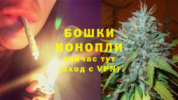 молекула духа Беломорск