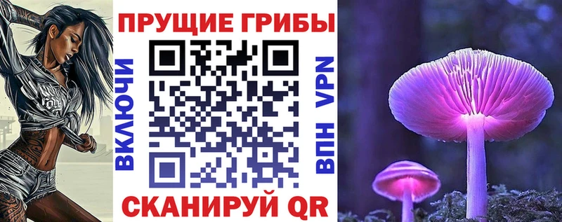 Псилоцибиновые грибы мицелий  цена   Видное 